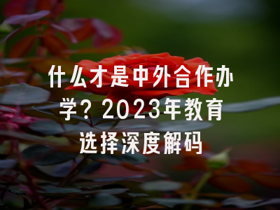 什么才是中外合作办学？2023年教育选择深度解码