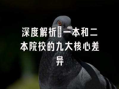 深度解析：一本和二本院校的九大核心差异