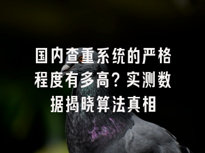 国内查重系统的严格程度有多高？实测数据揭晓算法真相