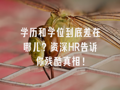 学历和学位到底差在哪儿？资深HR告诉你残酷真相！