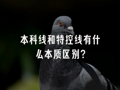 本科线和特控线有什么本质区别？