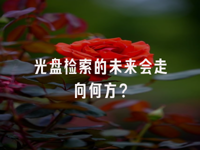 光盘检索的未来会走向何方？