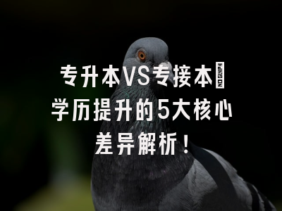 专升本VS专接本：学历提升的5大核心差异解析！