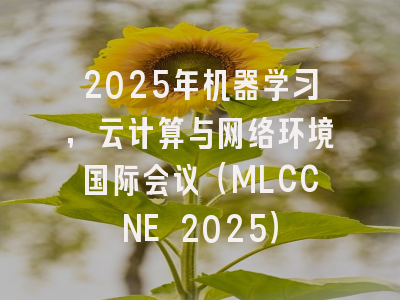 2025年机器学习，云计算与网络环境国际会议（MLCCNE 2025）