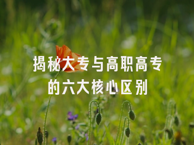 揭秘大专与高职高专的六大核心区别