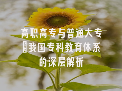 高职高专与普通大专：我国专科教育体系的深层解析