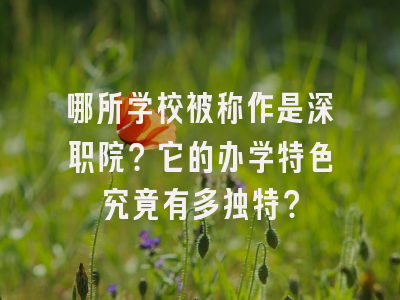 哪所学校被称作是深职院？它的办学特色究竟有多独特？