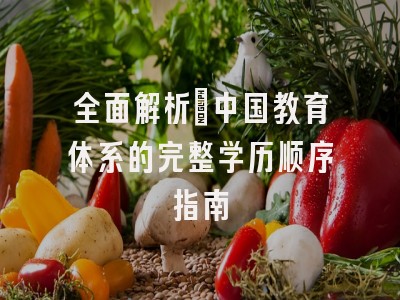 全面解析：中国教育体系的完整学历顺序指南