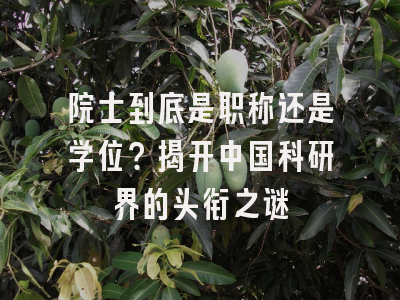 院士到底是职称还是学位？揭开中国科研界的头衔之谜