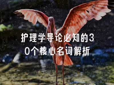 护理学导论必知的30个核心名词解析