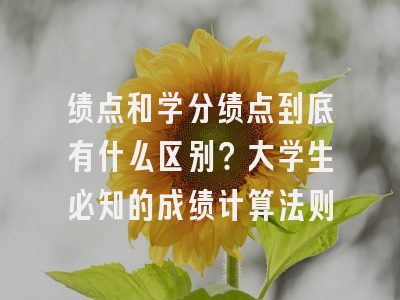 绩点和学分绩点到底有什么区别？大学生必知的成绩计算法则