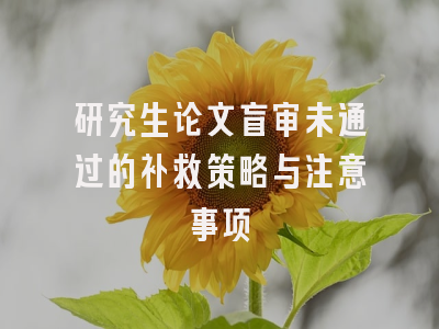 研究生论文盲审未通过的补救策略与注意事项