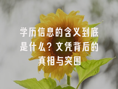 学历信息的含义到底是什么？文凭背后的真相与突围