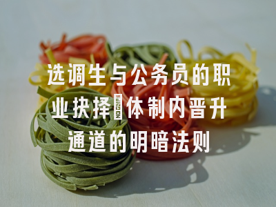 选调生与公务员的职业抉择：体制内晋升通道的明暗法则