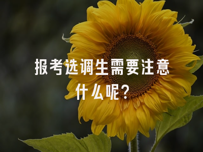 报考选调生需要注意什么呢？
