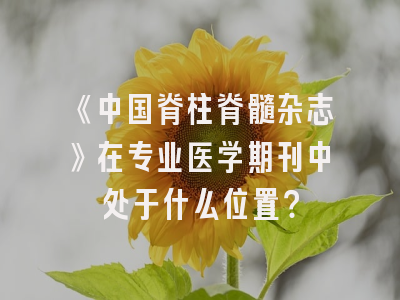 《中国脊柱脊髓杂志》在专业医学期刊中处于什么位置？