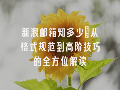 新浪邮箱知多少：从格式规范到高阶技巧的全方位解读