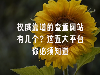 权威靠谱的查重网站有几个？这五大平台你必须知道