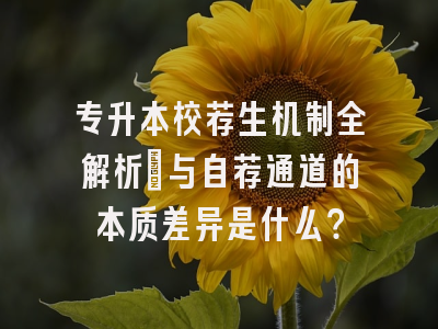 专升本校荐生机制全解析：与自荐通道的本质差异是什么？
