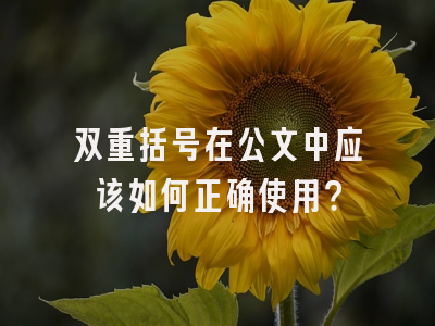 双重括号在公文中应该如何正确使用？