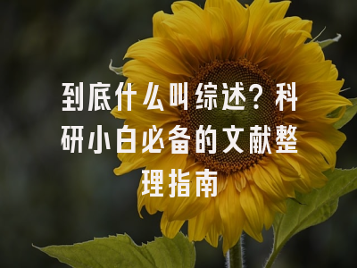 到底什么叫综述？科研小白必备的文献整理指南