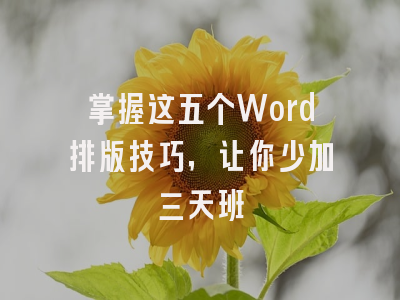 掌握这五个Word排版技巧，让你少加三天班