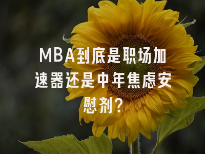 MBA到底是职场加速器还是中年焦虑安慰剂？
