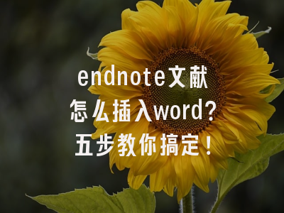 endnote文献怎么插入word？五步教你搞定！