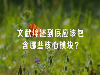 文献综述到底应该包含哪些核心模块？