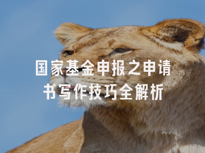 国家基金申报之申请书写作技巧全解析