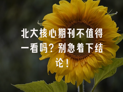 北大核心期刊不值得一看吗？别急着下结论！