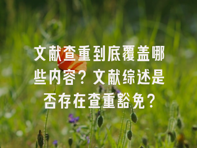 文献查重到底覆盖哪些内容？文献综述是否存在查重豁免？
