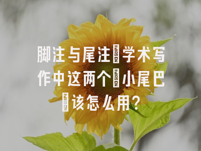脚注与尾注：学术写作中这两个「小尾巴」该怎么用？