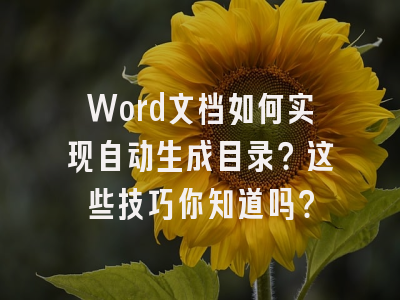 Word文档如何实现自动生成目录？这些技巧你知道吗？