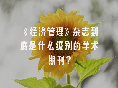 《经济管理》杂志到底是什么级别的学术期刊？