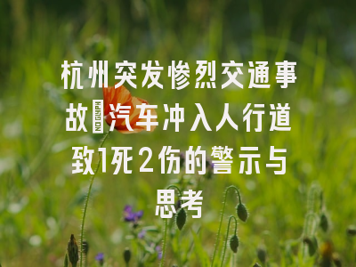 杭州突发惨烈交通事故：汽车冲入人行道致1死2伤的警示与思考