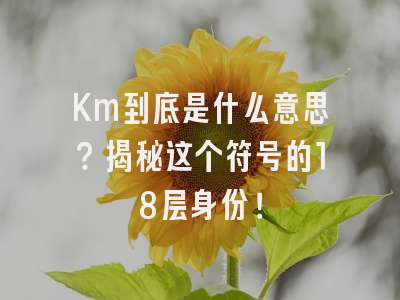 Km到底是什么意思？揭秘这个符号的18层身份！