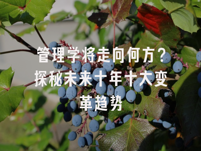 管理学将走向何方？探秘未来十年十大变革趋势