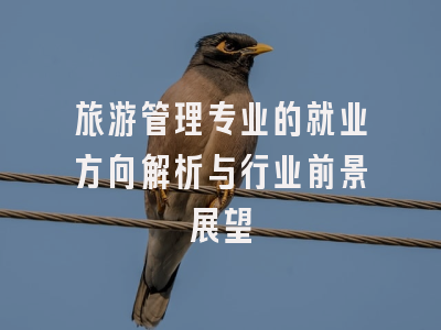 旅游管理专业的就业方向解析与行业前景展望