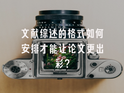 文献综述的格式如何安排才能让论文更出彩？