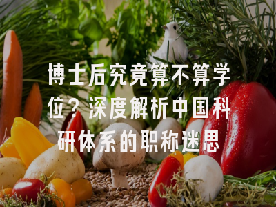博士后究竟算不算学位？深度解析中国科研体系的职称迷思