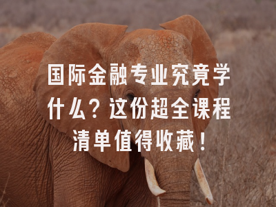 国际金融专业究竟学什么？这份超全课程清单值得收藏！