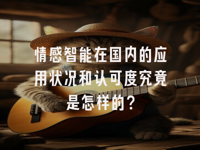 情感智能在国内的应用状况和认可度究竟是怎样的？