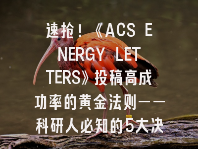 速抢！《ACS ENERGY LETTERS》投稿高成功率的黄金法则——科研人必知的5大决胜策略
