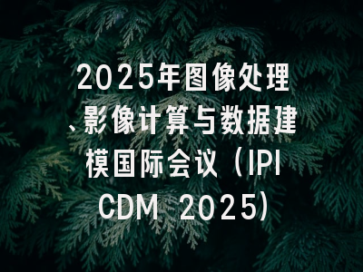 2025年图像处理、影像计算与数据建模国际会议（IPICDM 2025）