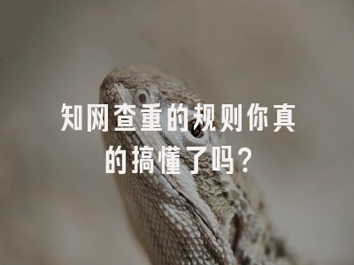 知网查重的规则你真的搞懂了吗？