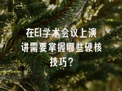 在EI学术会议上演讲需要掌握哪些硬核技巧？