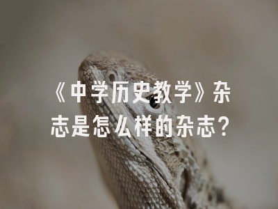 《中学历史教学》杂志是怎么样的杂志？