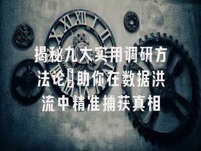 揭秘九大实用调研方法论：助你在数据洪流中精准捕获真相