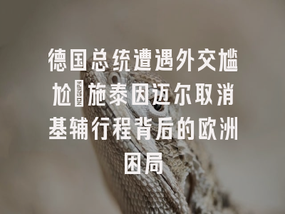 德国总统遭遇外交尴尬：施泰因迈尔取消基辅行程背后的欧洲困局